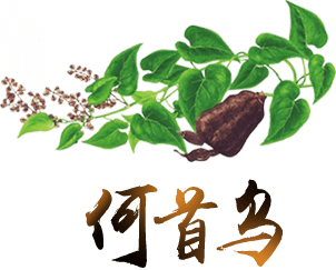 何首乌安卓版
