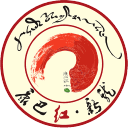 康巴红新龙官方版