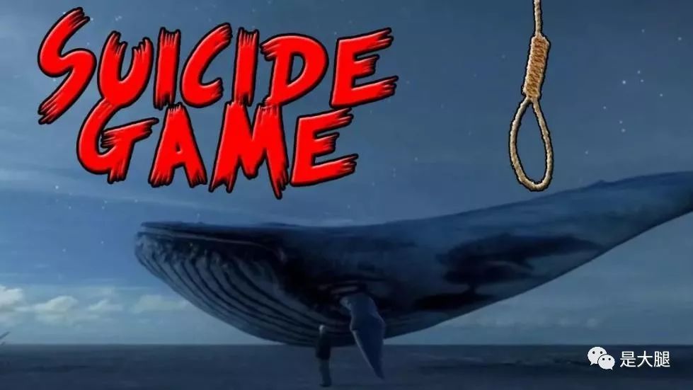 “蓝鲸游戏”卷土重来？最恐怖游戏，玩过的人将会自杀！ 