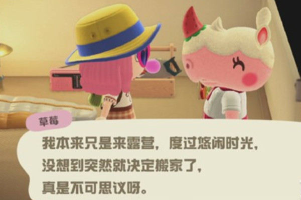 动物之森露营地建造攻略