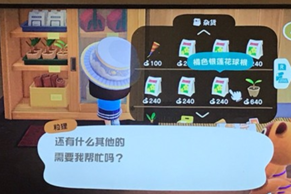 动物之森商店升级介绍