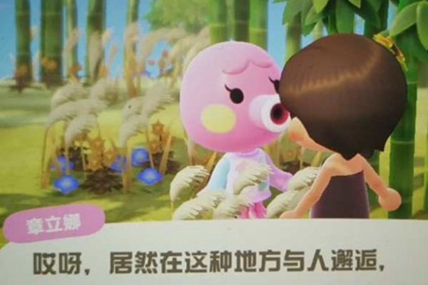 动物之森小动物要走挽留方法