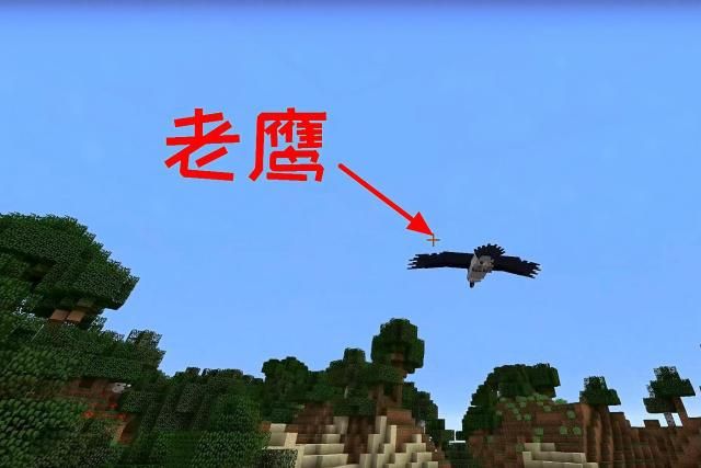 我的世界老鹰怎么驯服手机版