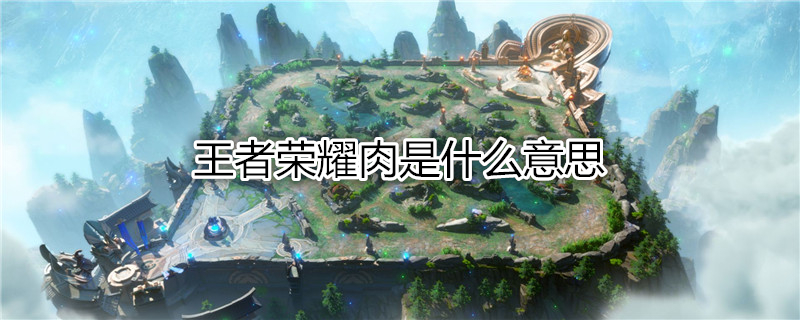 王者荣耀肉是什么意思