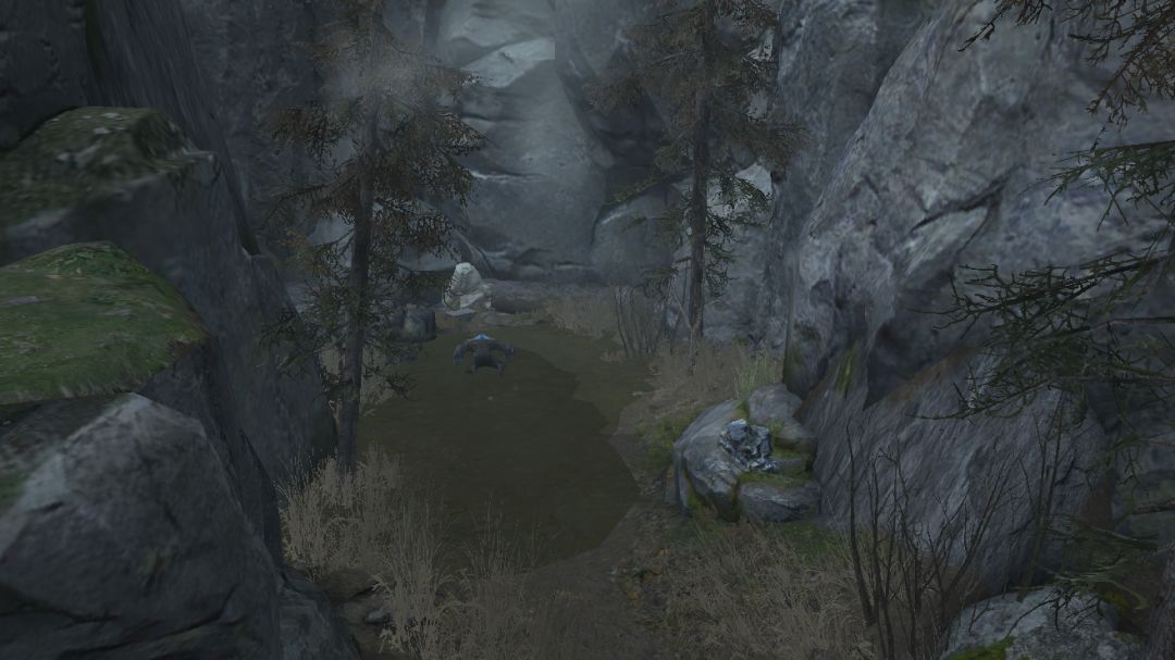 明日之后茅斯沼泽特殊宝箱位置汇总