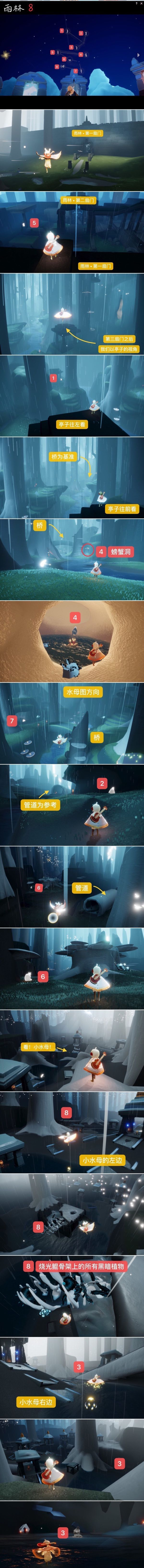 雨林的先祖在哪里