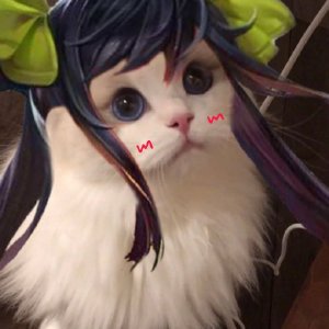 王者荣耀猫咪射手接头大全