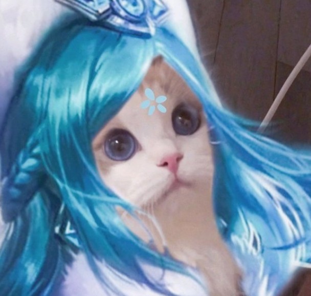 王者荣耀猫咪法师接头大全