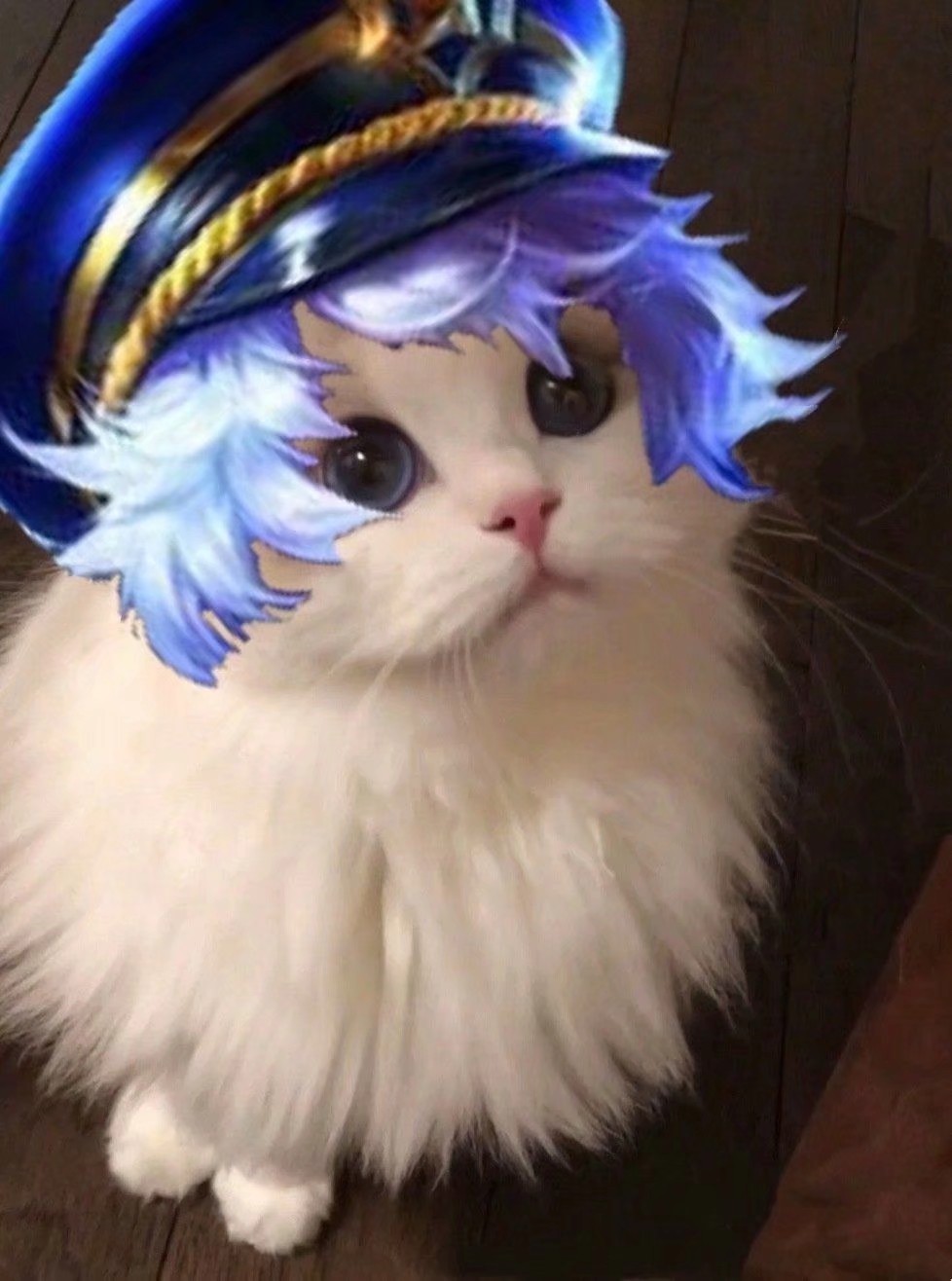 王者荣耀猫咪头像诸葛亮一览
