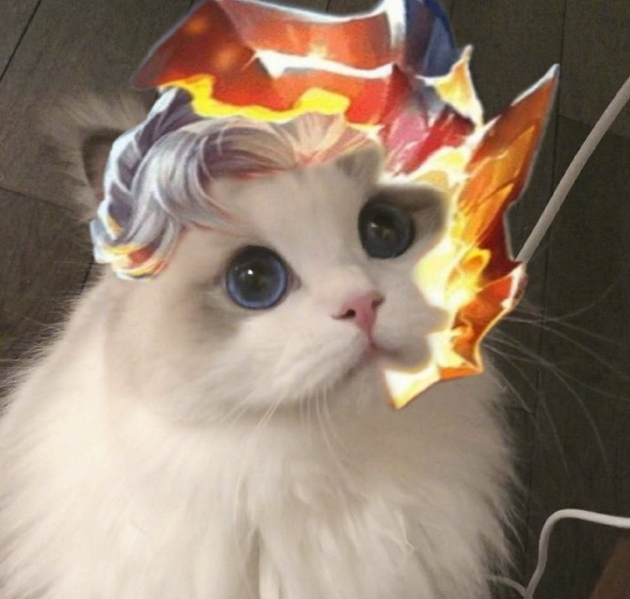 王者荣耀猫咪头像铠一览