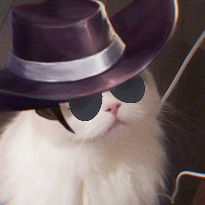 王者荣耀父子猫咪头像