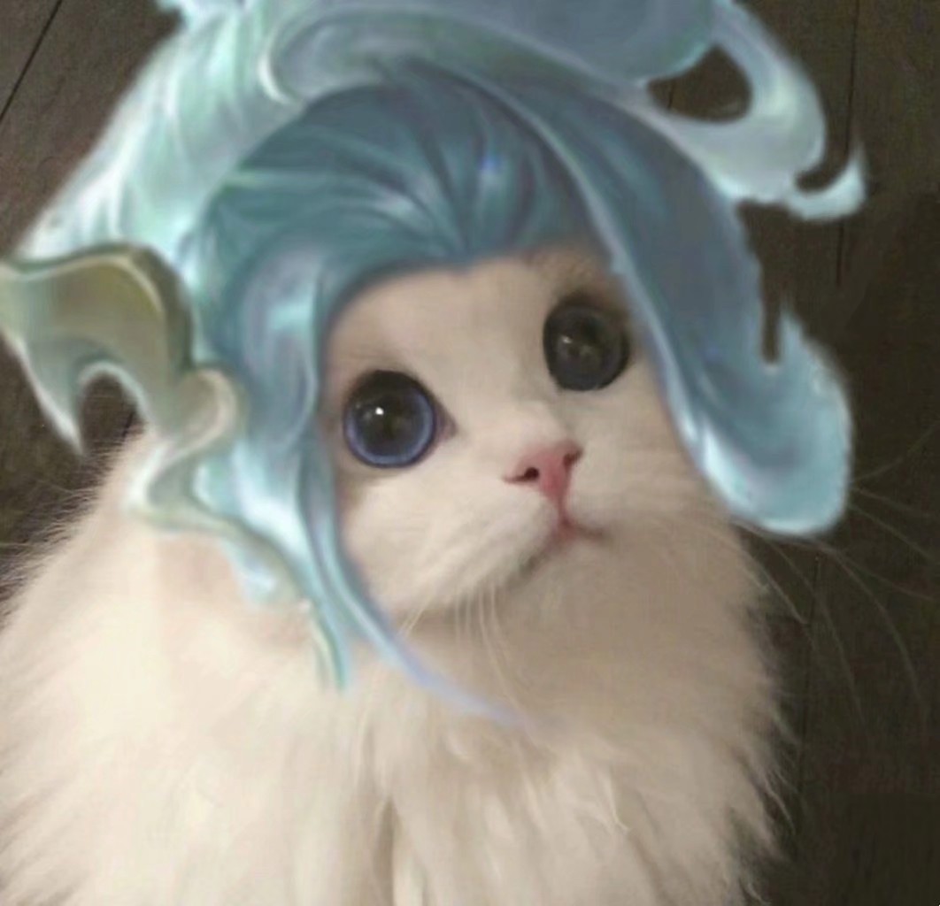 王者荣耀长城守卫军猫咪头像