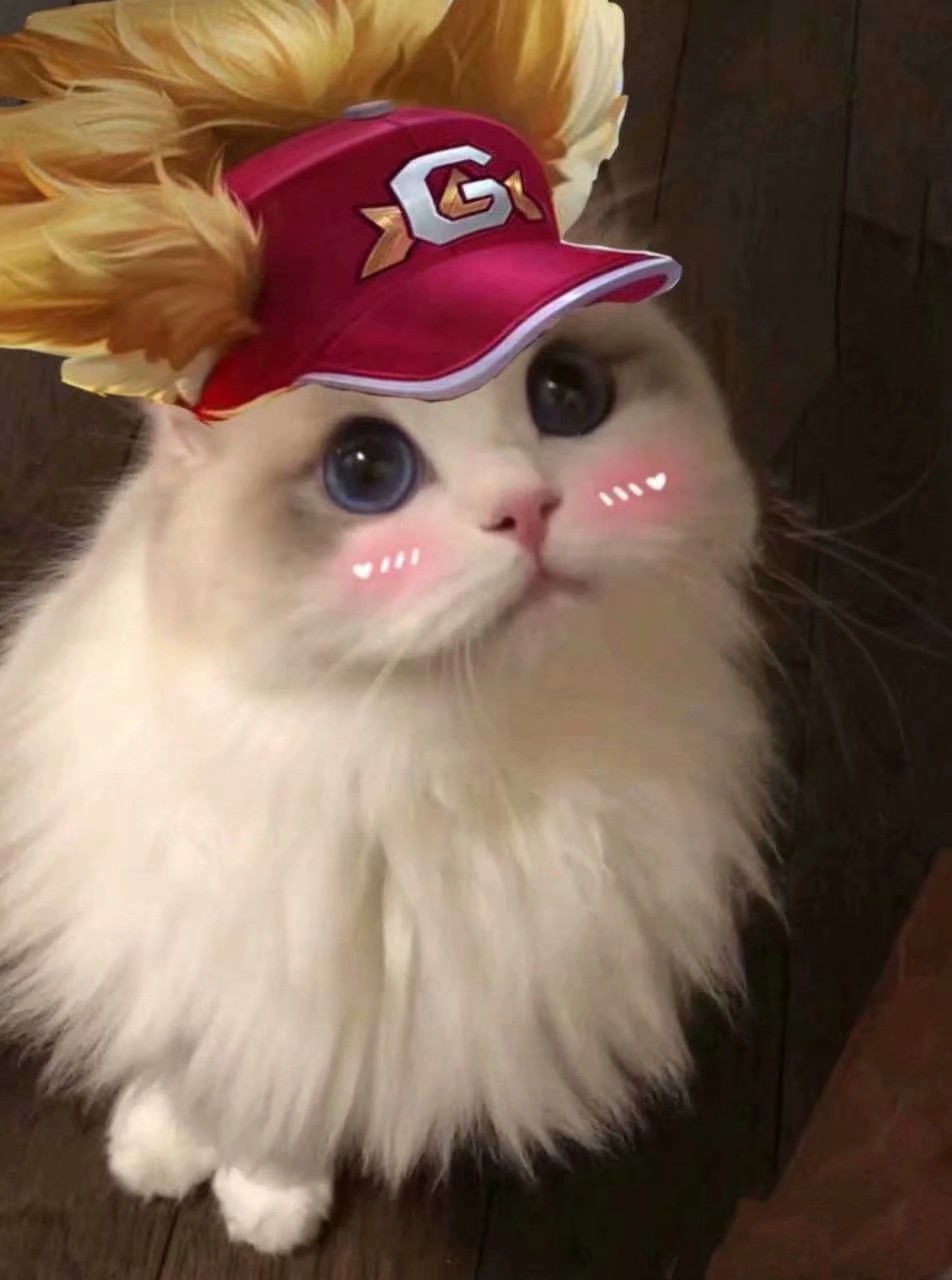 王者荣耀长城守卫军猫咪头像