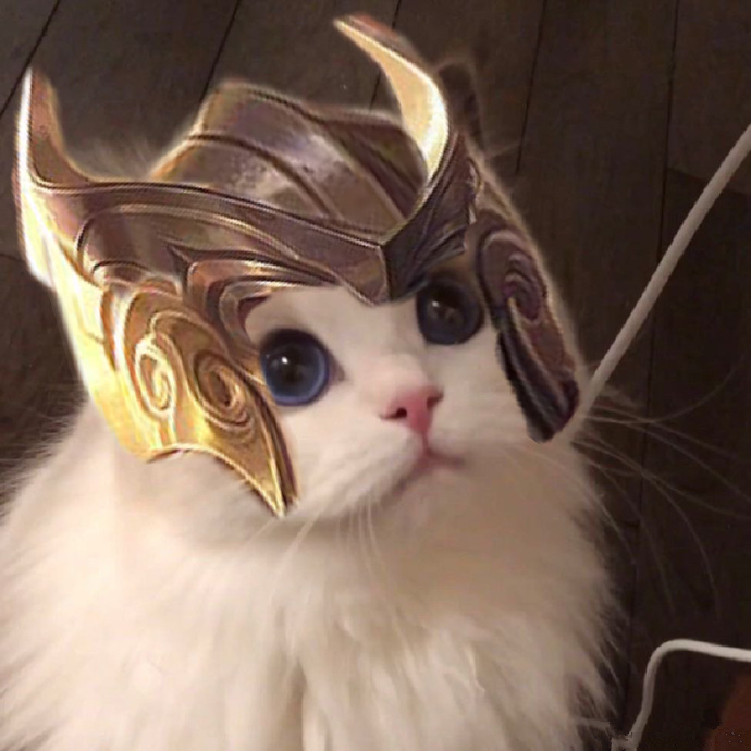 王者荣耀五虎将猫咪头像