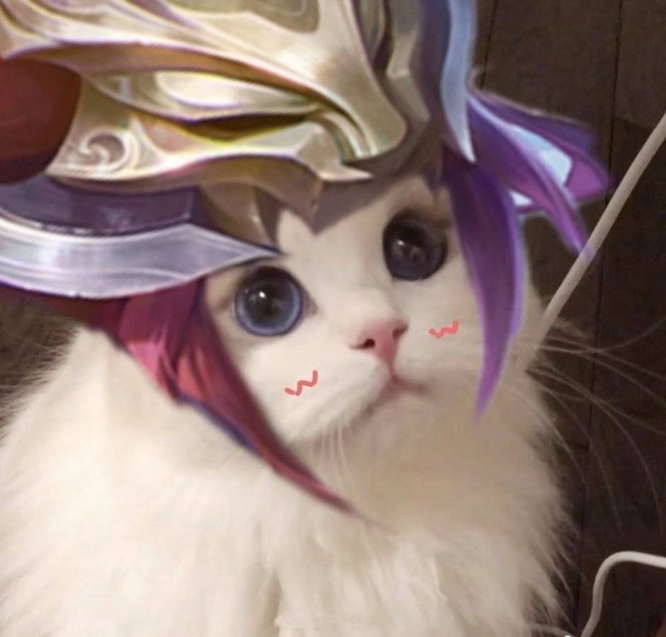 王者荣耀玄策猫咪头像