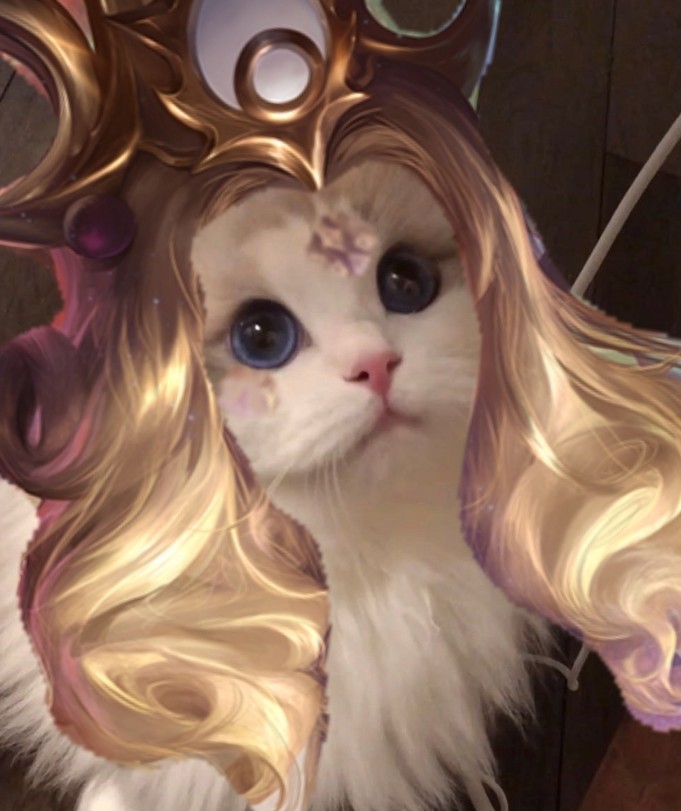 王者荣耀武则天猫咪头像