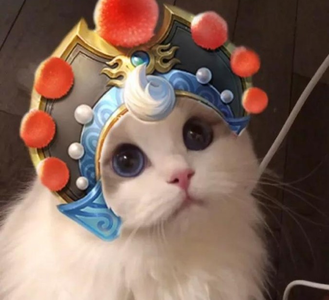 王者荣耀梦奇猫咪头像