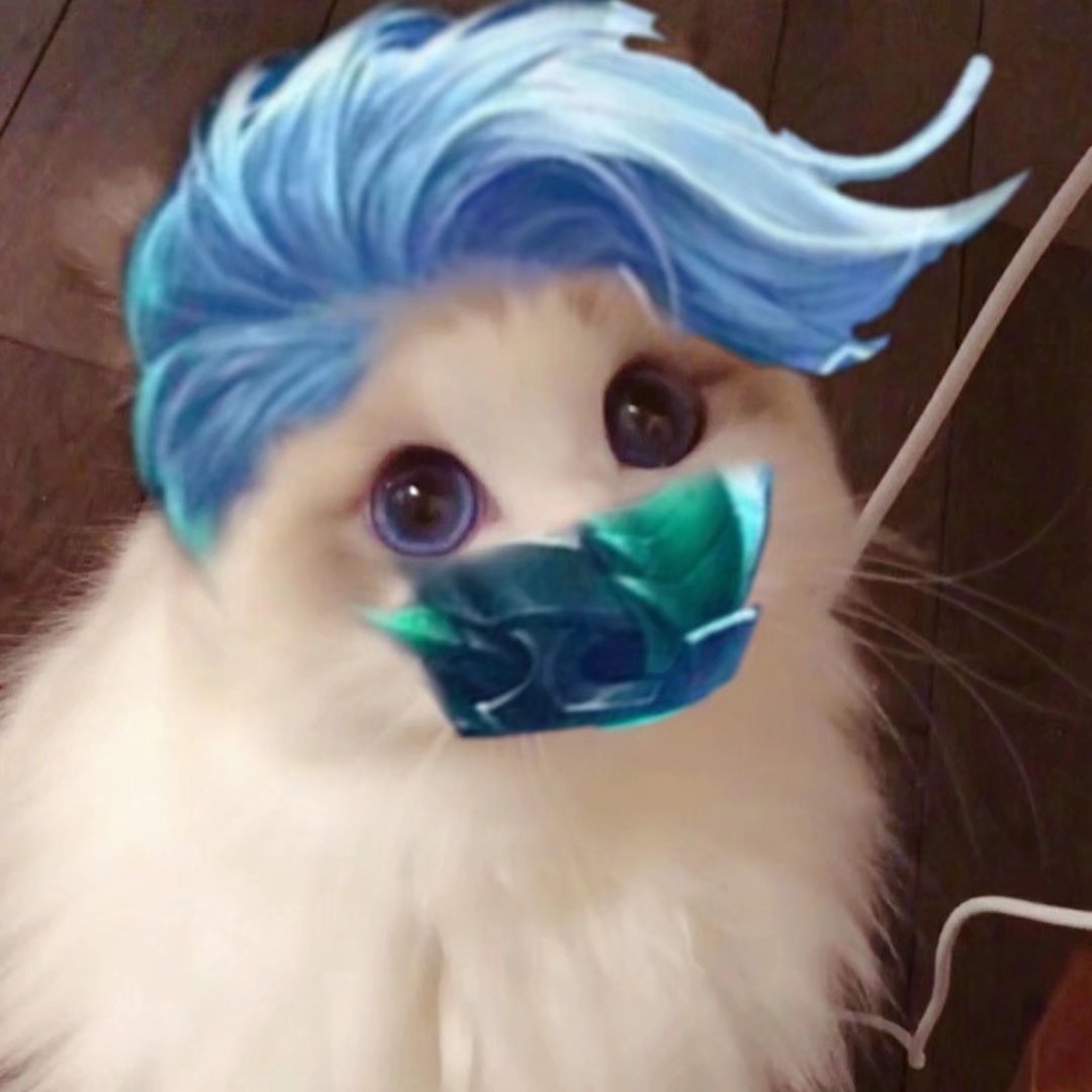 王者荣耀兰陵王猫咪头像