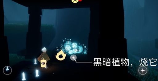 光遇7月15日每日任务完成攻略