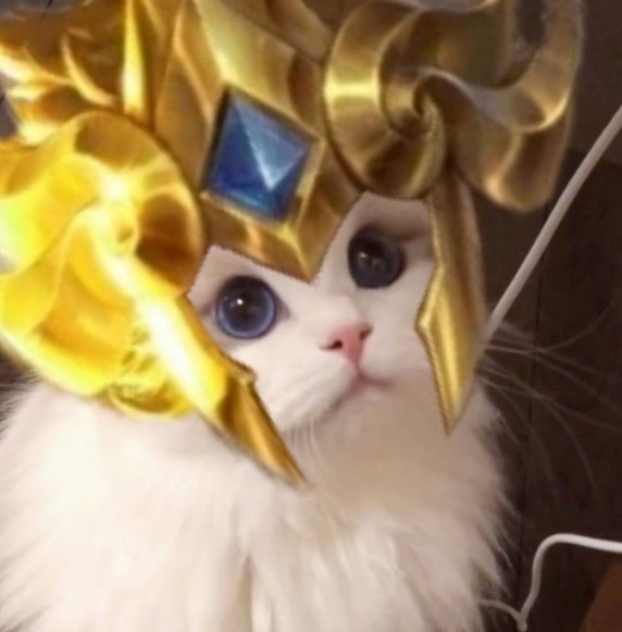王者荣耀黄金狮子座猫咪头像