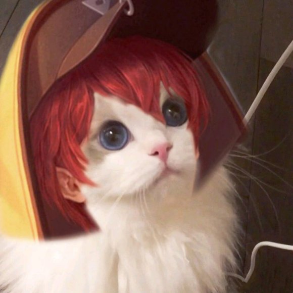 王者荣耀时之恋人猫咪头像