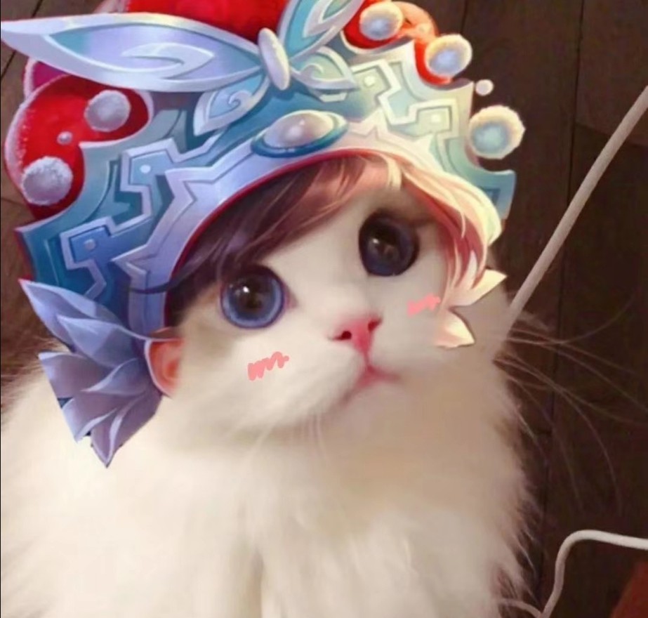 王者荣耀虞姬猫咪头像