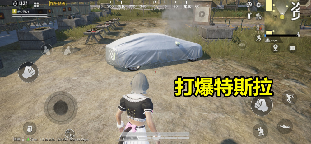 和平精英特斯拉紫色和白色对比