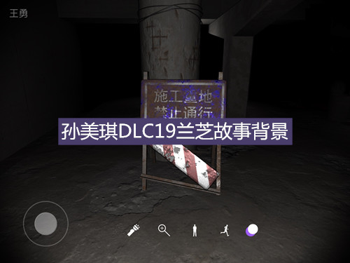 孙美琪疑案DLC19兰芝故事背景介绍