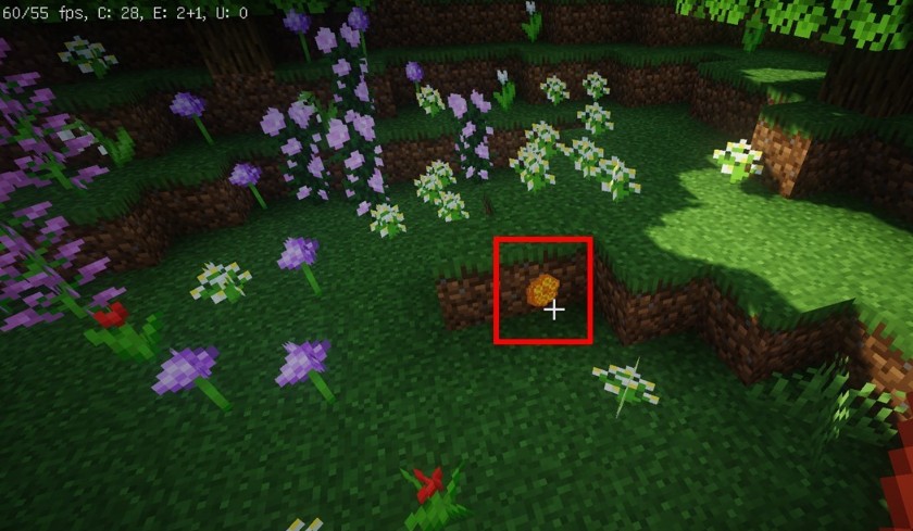 我的世界手机版蜜脾怎么得