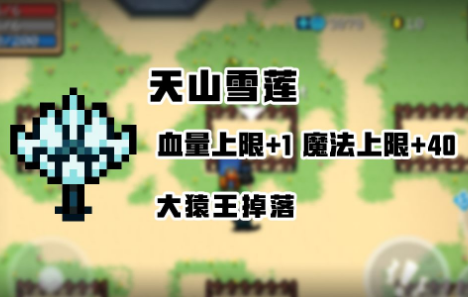 元气骑士冰山雪莲有什么用