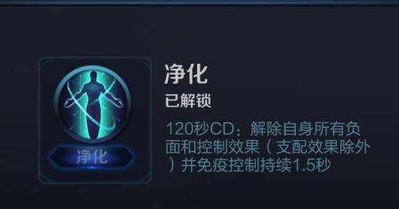 张良的大招可以用净化净化掉吗