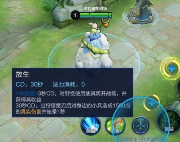 王者荣耀阿古朵为什么没有放生技能