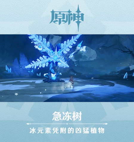 原神急冻树位置介绍