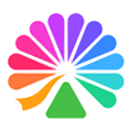 大麦app