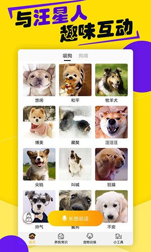 狗语翻译器app特色