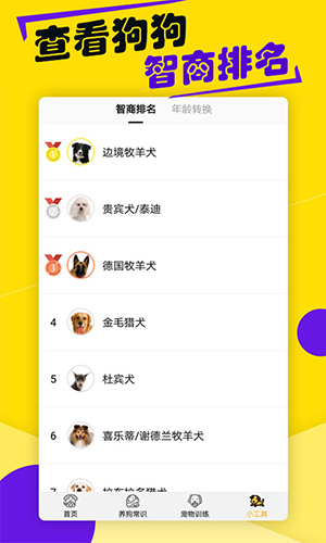 狗语翻译器app功能