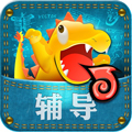 口袋辅导app