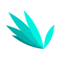指尖文学app