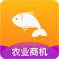 抓鱼app