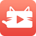 猫咪app
