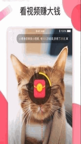 慈音短视频app1