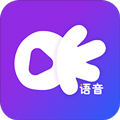 OK语音app