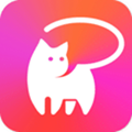 喵聊交友app