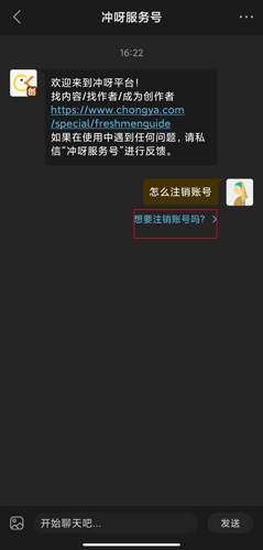 冲呀图片21