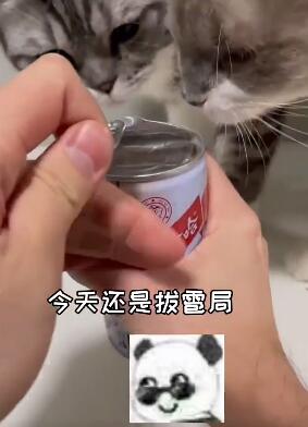 拔雹局是什么意思
