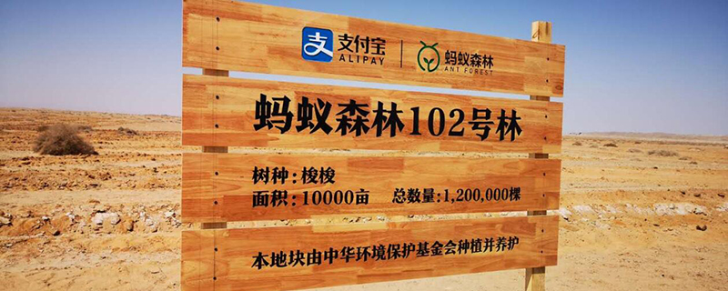 蚂蚁森林怎么开通行走获取能量