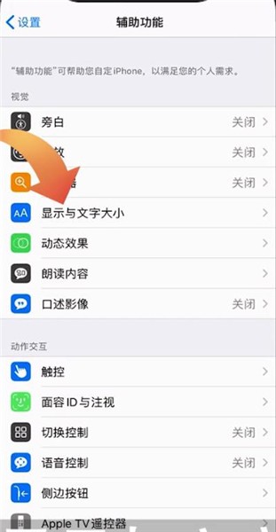 苹果的自动亮度在哪里关闭