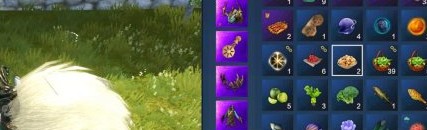 妄想山海长生果获得方法