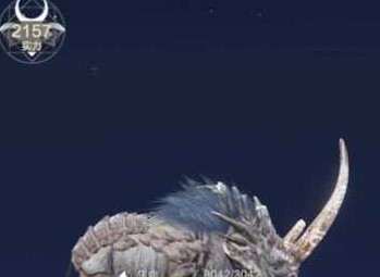 妄想山海豪兕获得方法