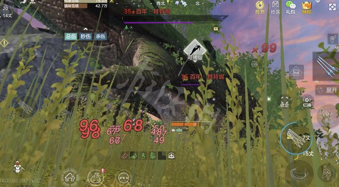 妄想山海如何捕捉异兽